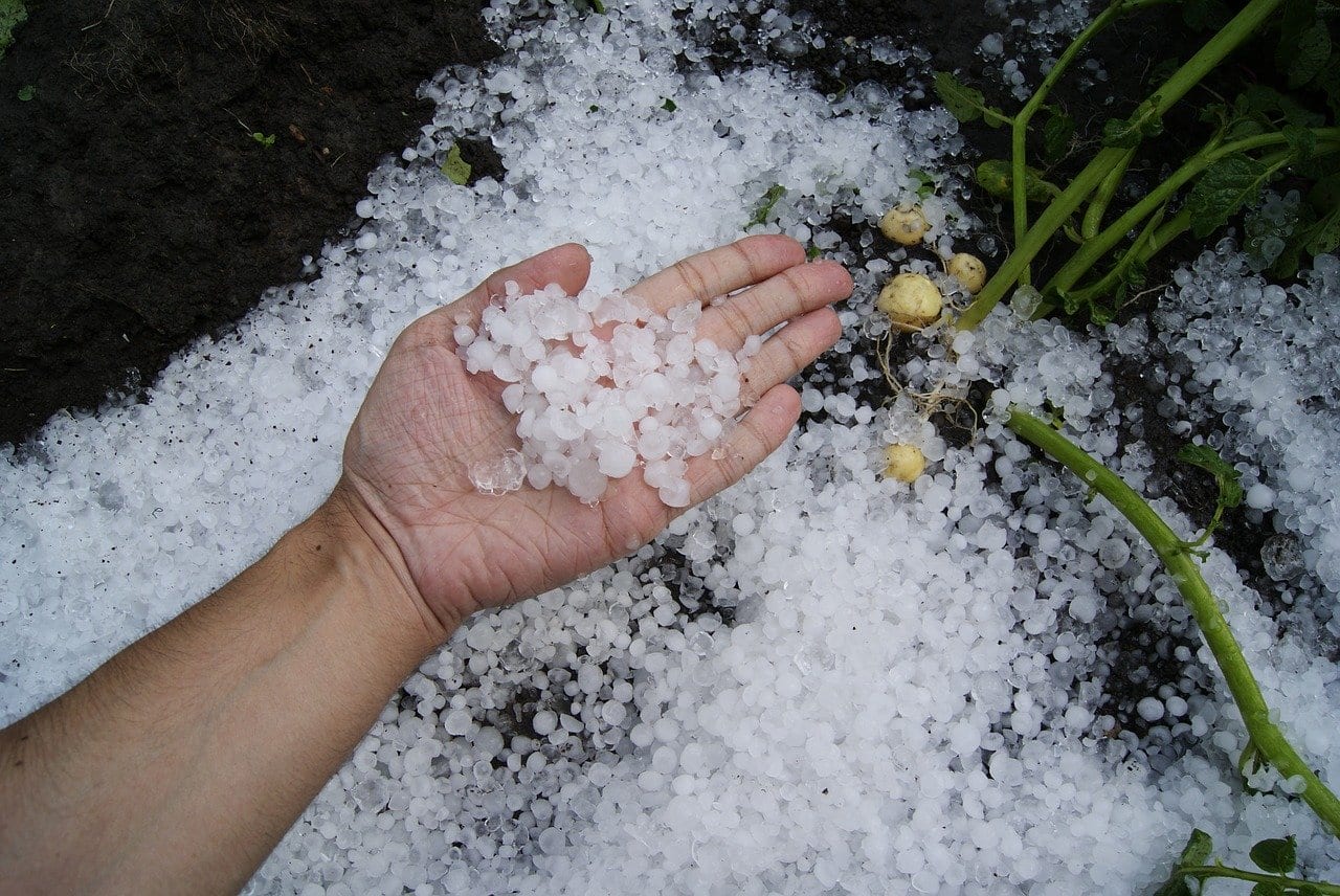 Featured image for “How to Handle Hail Damage to Your Car Windshield”